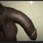 Profile picture of Hungboy22